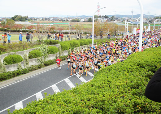 第35回豊田マラソン大会の写真